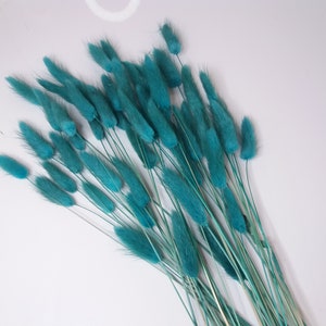 Teal Bunny Tails, Rabbit Tails, Dried Flowers For Boho Home Decor, Boho Bridal Bouquet,Lagurus Dried grass, Natural grass image 4