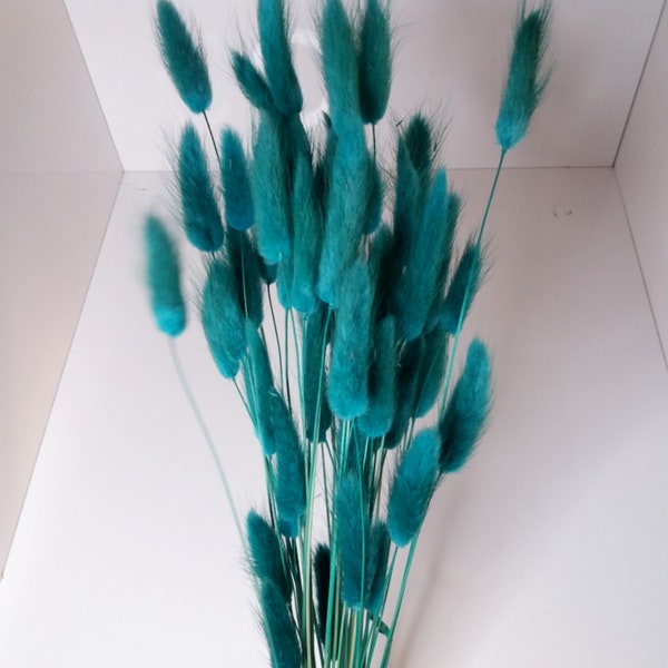 Teal Bunny Tails, Kaninchenschwänze, Trockenblumen für Boho Home Decor, Boho Brautstrauß, Lagurus Trockengras, Naturgras