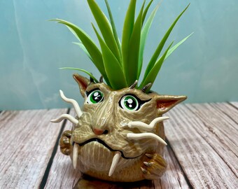 Joli cache-pot fabriqué à la main pour les plantes succulentes - Idéal pour les petites plantes et les plantes aériennes - Grande défense des plaines - Simaleo Saticulos