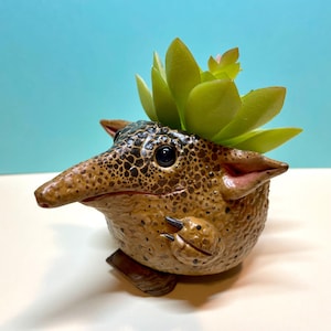 May include: A small, round, tan-colored planter shaped like an armadillo with dark brown spots, a long snout, and black eyes. A green artificial succulent plant is nestled inside the top of the planter, which features small ears and claws.