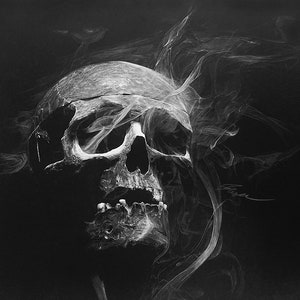 Black & White Skull Print - 14" x 11" Satin Poster 210gsm
