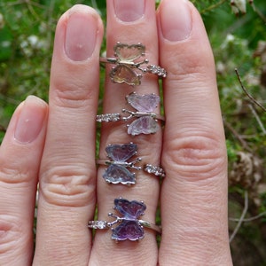 May include: Five silver rings with butterfly-shaped gemstones. The butterflies are iridescent and have different colors, including purple, pink, and green.