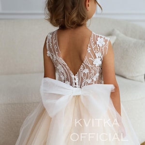 Lace Dress with Sequins and Lace, Toddler Girl Dress, White Tulle Flower Girl Dress, Weddings