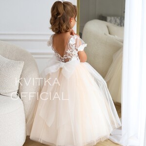 Girl Lace Dress, Toddler Flower Girls Dress, Puffy Tulle dress, Wedding Girl Gown