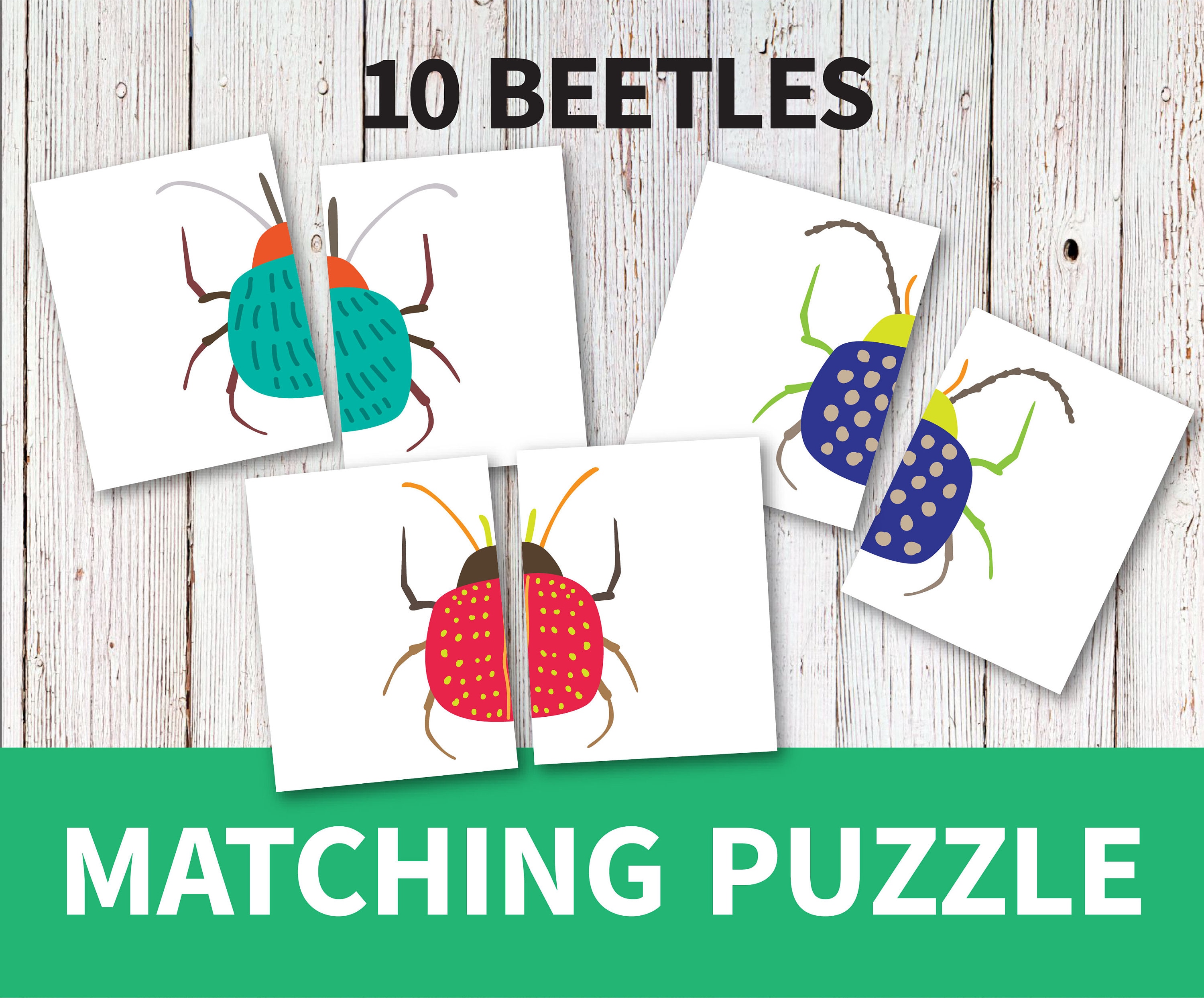 Matching puzzle. Matching puzzle