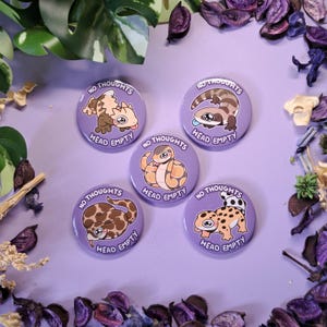 Bouton reptile - pas de problème la tête vide