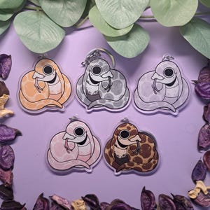Op de afbeelding: Vijf acryl sleutelhangers met cartoon slangen opgerold in hartvormen. De slangen zijn gekleurd in oranje, grijs, lichtgrijs, roze en bruin met donkere vlekken. Elke sleutelhanger heeft een zilveren metalen ring aan de bovenkant van de hanger.