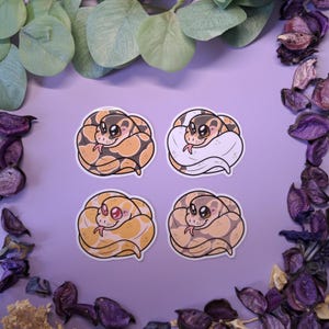 Ball python snake reptile sticker