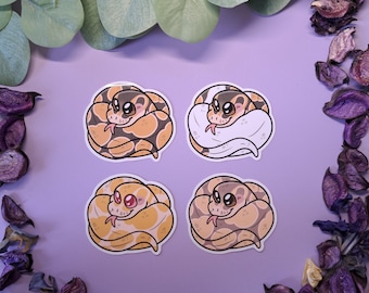 Königspython Schlange Reptil Aufkleber