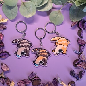 Può includere: Tre portachiavi in acrilico raffiguranti lucertole in stile cartone animato con grandi occhi e lingue blu. Due lucertole presentano motivi maculati marroni e bianchi, mentre una è arancione e bianca. Ogni portachiavi include un anello e una catena in metallo argentato.