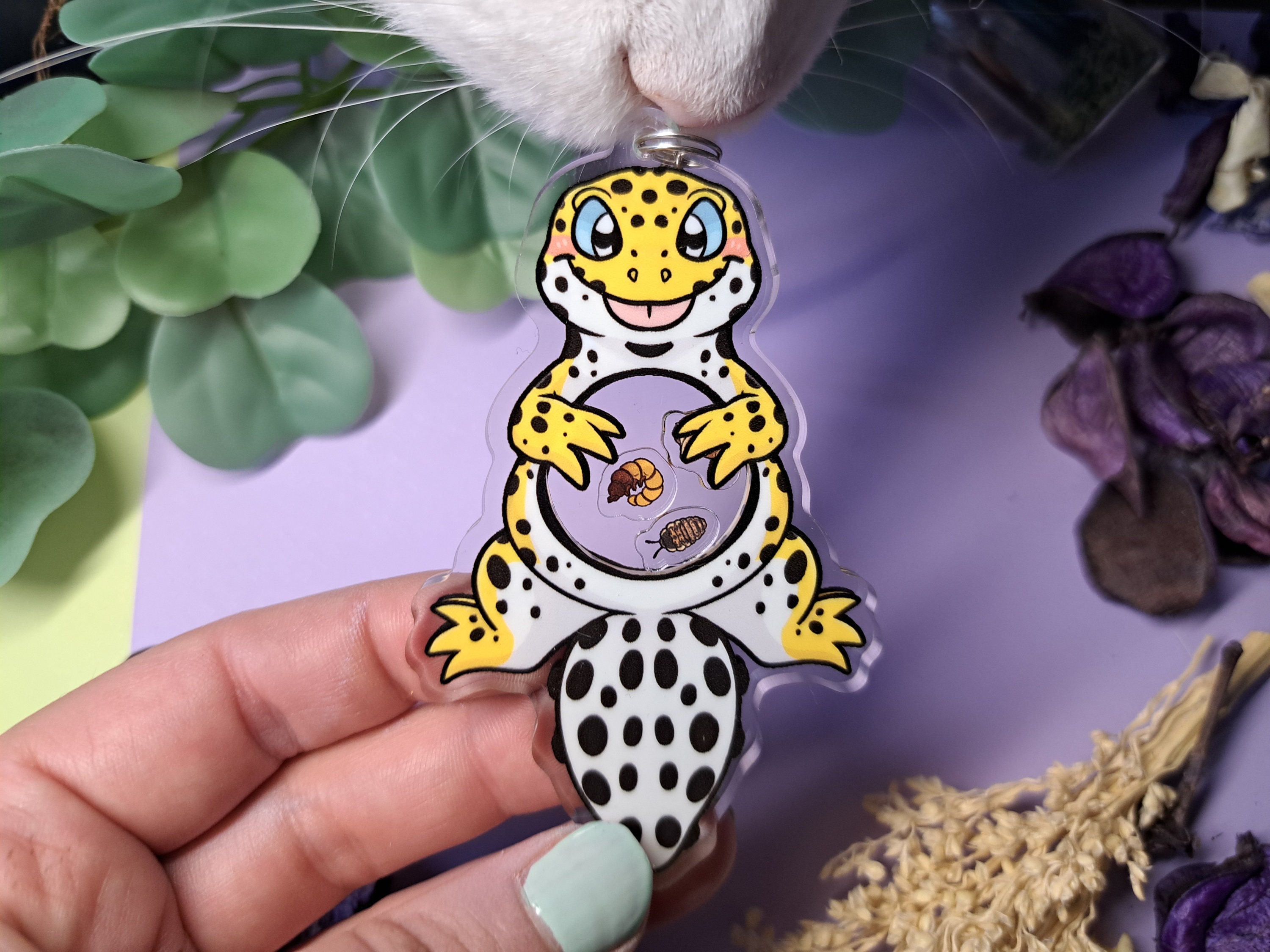 Leopard hot sale gecko accessories