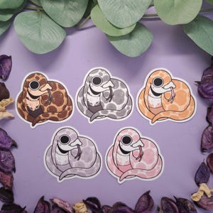 Puede incluir: Cinco pegatinas troqueladas que muestran serpientes enroscadas con grandes ojos negros y lenguas salientes. Las serpientes son de color marrón, gris, naranja, morado claro y rosa, cada una con un patrón de manchas distinto.