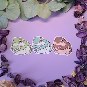 Op de afbeelding: Drie cartoon kikker stickers in groen, blauw en bruin, elk met een witte buik en een glimlachende uitdrukking. De stickers staan op een paarse achtergrond, omringd door decoratieve bladeren en gedroogde bloemen.