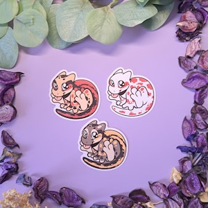 Gargoyle gecko reptile sticker