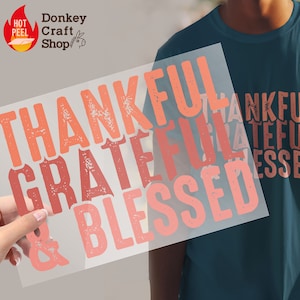Thanksgiving Thankful DTF Transfers, Ready to press, Ready For Press Heat Transfers DTF194
