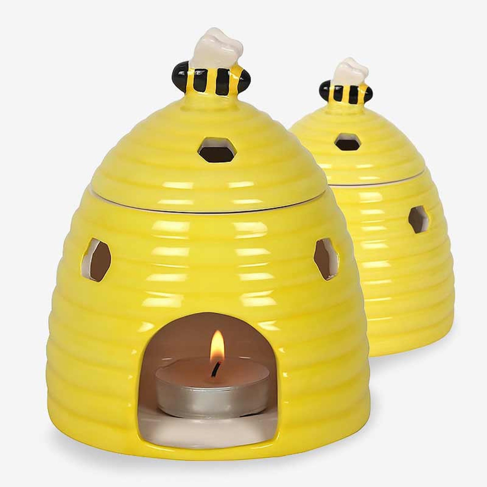 Busy Bee's Beehive Oil Burner Wax Warmer With Wax Malt Etsy