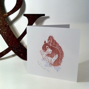 May include: A white card with a red squirrel illustration and the text "Red Squirrel - YAS" in blue ink.