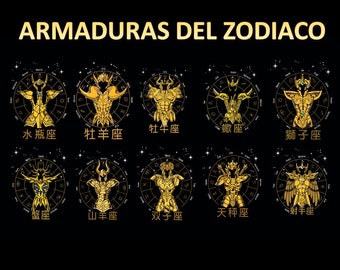 Zodiac Armor