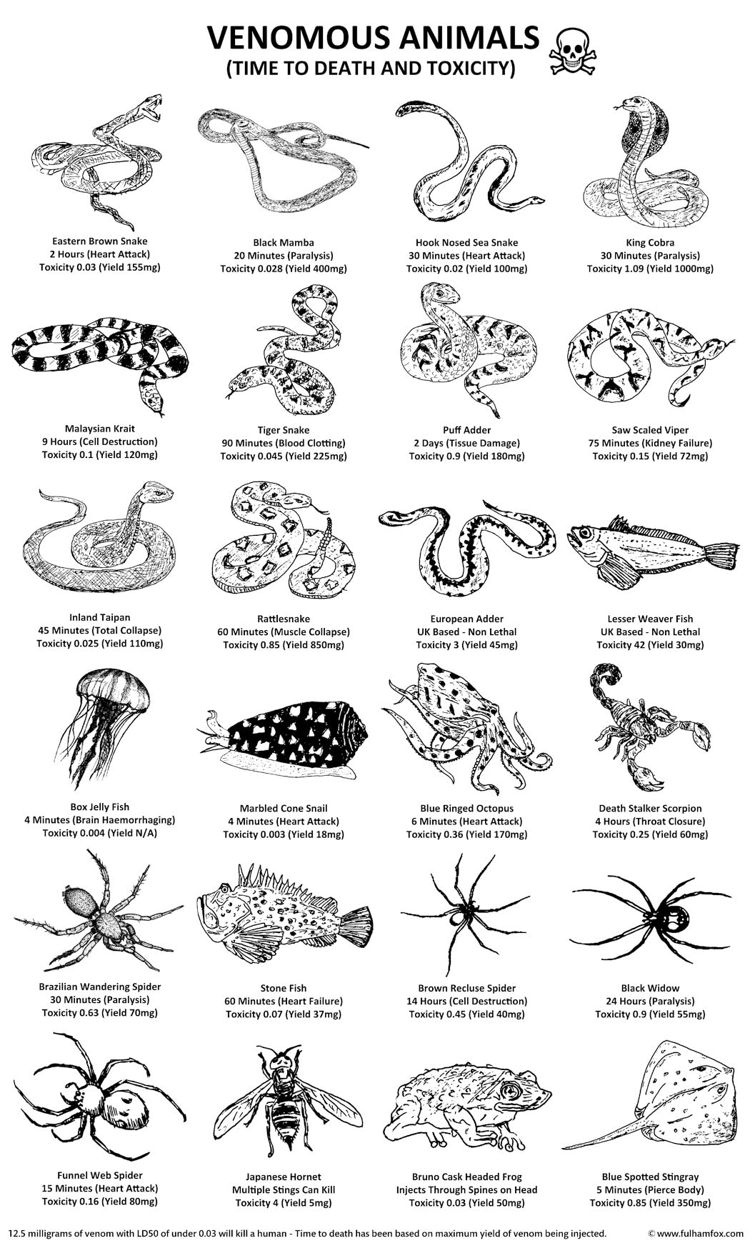 Venomous Animals Design by Fulham Fox - Etsy
