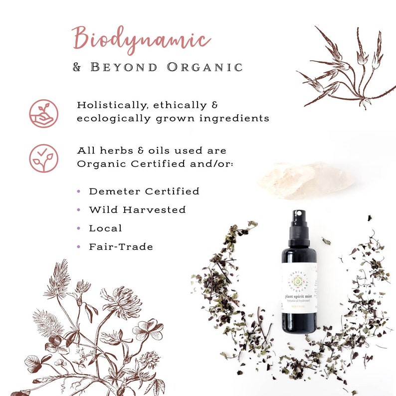 Biodynamic Floral Water & Skin Toner Organic Hydrosol of Tulsi Holy Basil Beyond Organic Ayurvedic Inspired Farm-to-Face image 4
