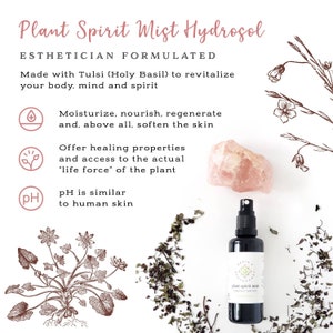 Biodynamic Floral Water & Skin Toner Organic Hydrosol of Tulsi Holy Basil Beyond Organic Ayurvedic Inspired Farm-to-Face image 2