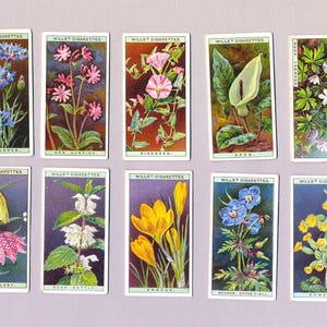 Wild Flowers, 1st series | 1923 Wills Cigarette Cards | Full set of 50 original cards | Countryside flowers | British Wild Flowers