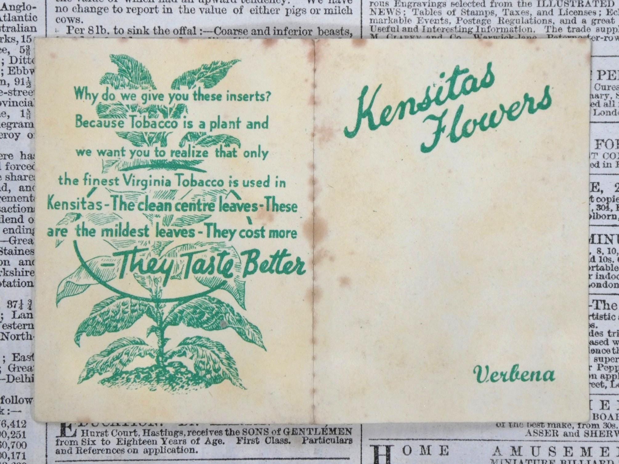 types of winston cigarettes Winston Cigarettes