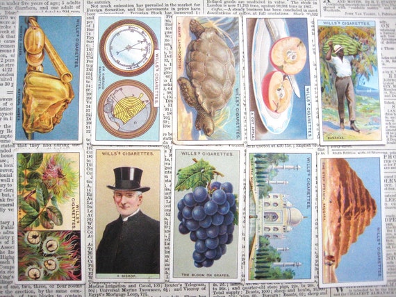 Do You Know? 2nd Series | 1924 Wills Cigarette Cards | Full Set 50 Original  Cards