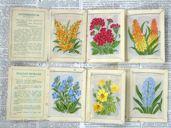 silk cut cigarette cards Kensitas Silk Cigarette Cards. 1934 | Medium Size | Originals in Card  Wallets | Silk Flower Pictures