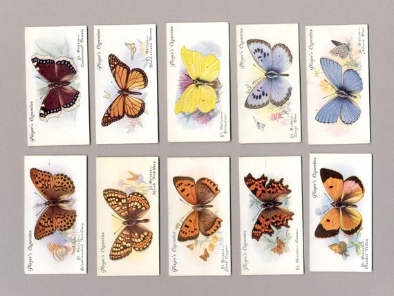 Butterflies | 1932 Players Cigarette Cards | 50 Original Cards | Butterfly  Cigarette Cards | Butterflies of the World