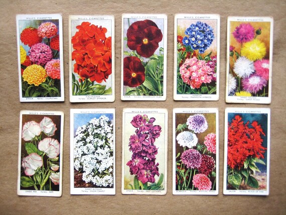 Garden Flowers 1939 | Wills Cigarette Cards | 50 Original Cards | Flower  Pictures | Flower Cigarette Cards
