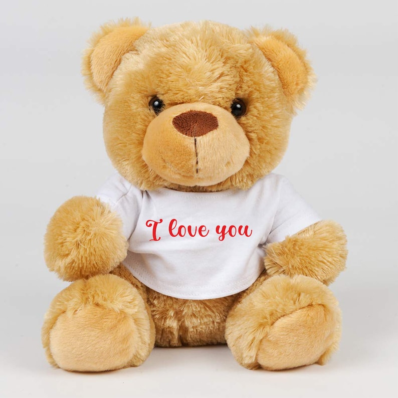 Personalisierter Teddybär Bedruckt mit persönlicher Nachricht Kleine Mittelgroße Stofftier Bedruckte Bären Drucken Sie Text, Bilder oder Logos Bild 1