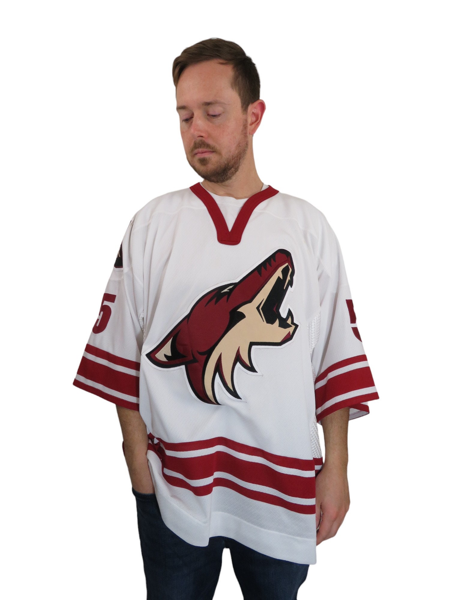Vintage 90s Y2K Phoenix Arizona Coyotes NHL Hockey Jersey Vintage 90s Y2K Phoenix Arizona Coyotes NHL Hockey Jersey
