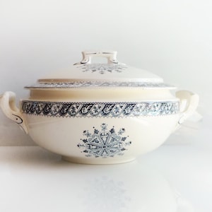 Magnifique soupière en fer, « Henri II », vers fin des années 1800 début des années 1900, faïence française, SALINS, France antique