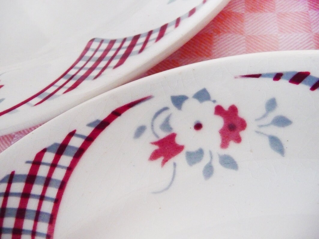 6 Assiettes Dinner Vintage, Plates Amandinoise, Motif Floral Peint à La Main, Aérographe, Faïence Fr