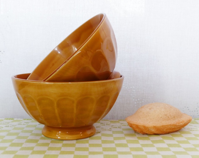 2 French Bowls, LARGE Café Au Lait BOWLS, Vintage French DIGOIN