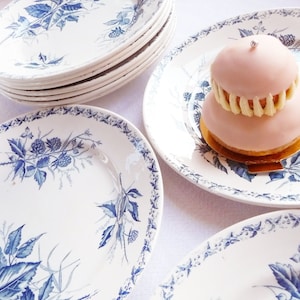 Badonviller "Mûre" 6 Dinner plates, IRONSTONE FLAT plates, Rare, Splendid French Ironstone, White and Blue, Stunning 1875 - 1900s Victorian