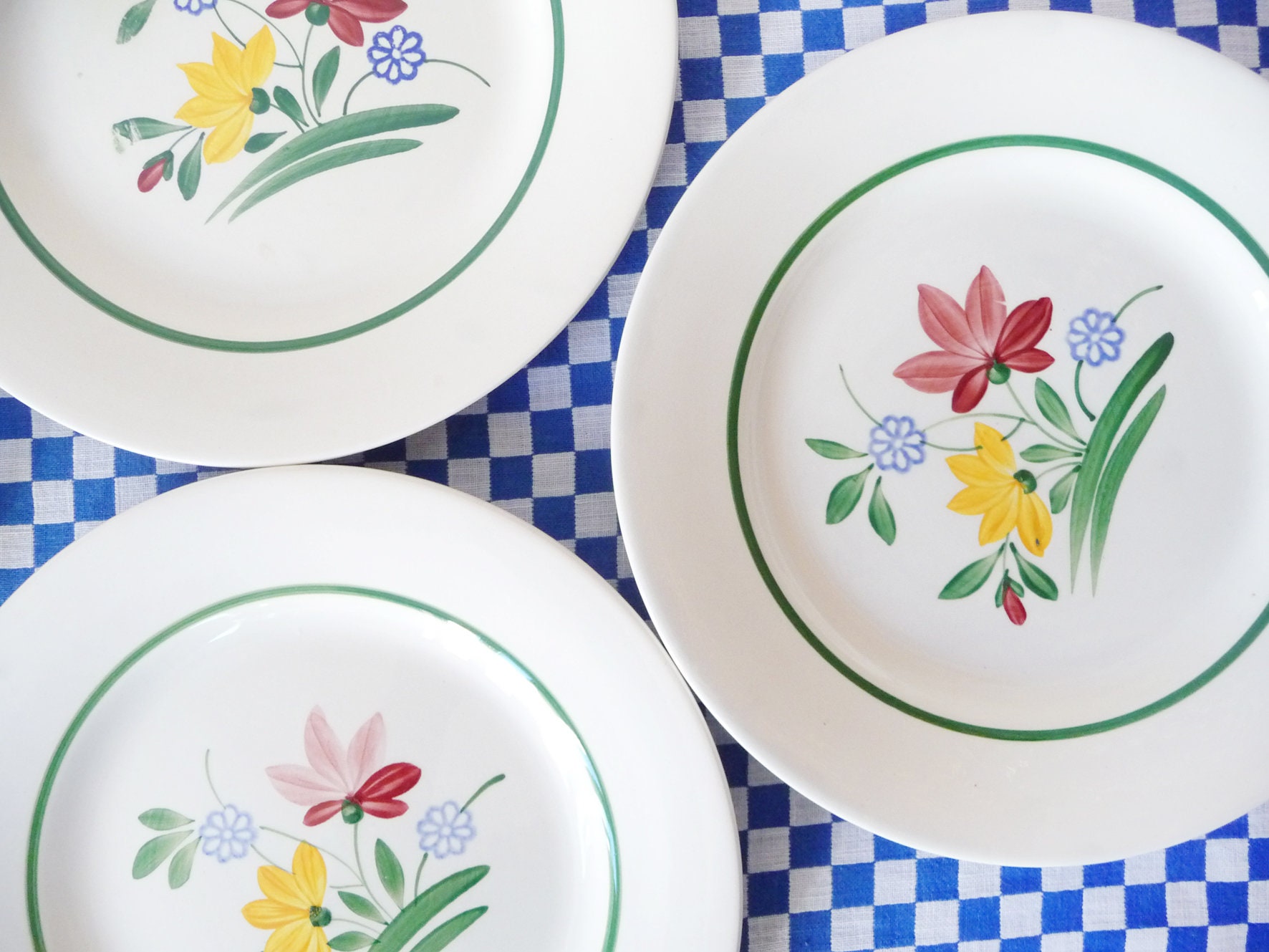 4 Assiettes Dinner Vintage, Plates en Céramique, Douglas By Digoin, Design Rare, Fleurs Peintes à La