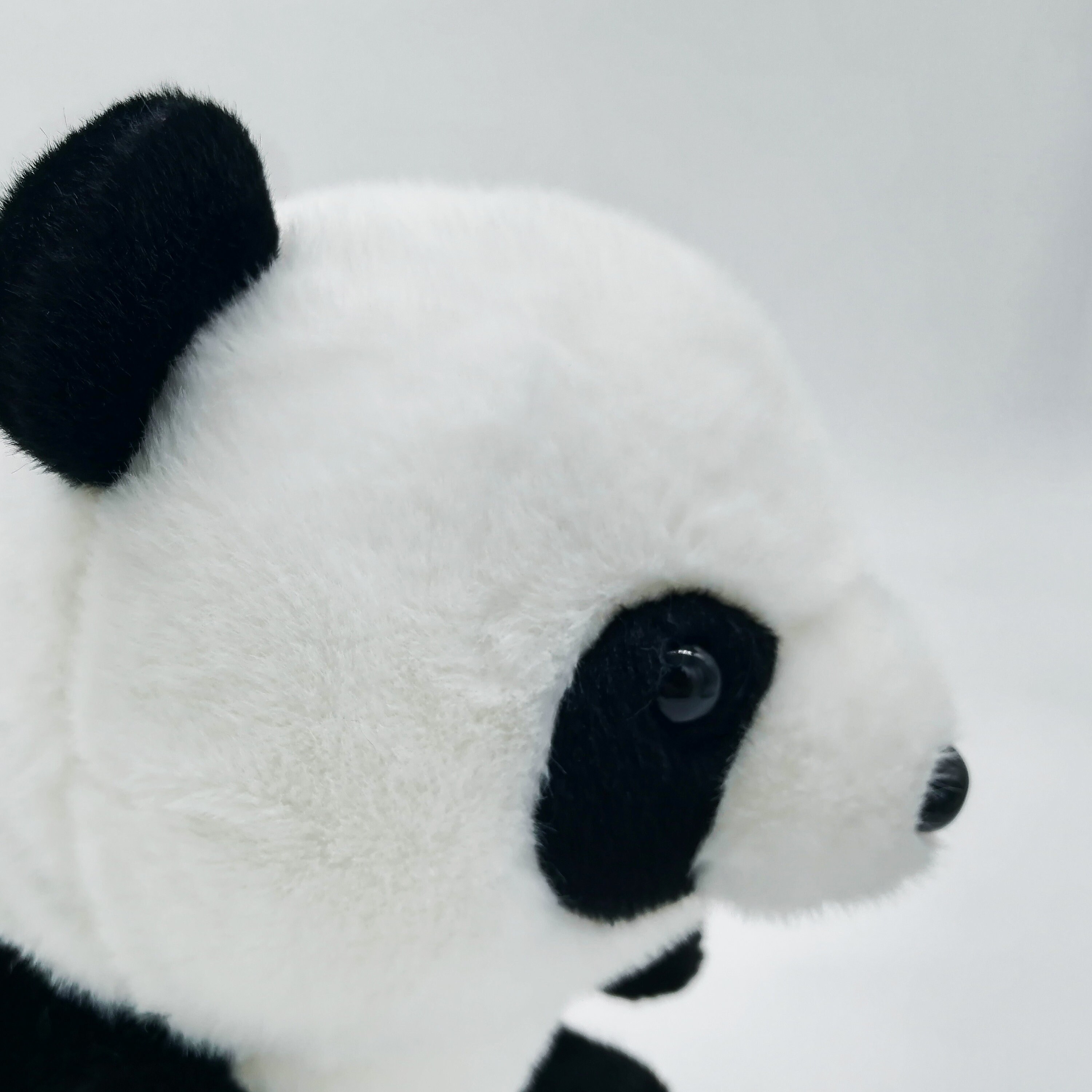 Personalized Panda Plush Panda Stuffed Animal Super Soft 7.5in Tall