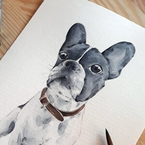 May include: Watercolour painting of a French Bulldog sitting on a white background. The dog is black and white with a brown leather collar.