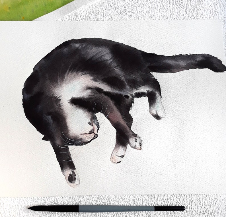 May include: Watercolour painting of a black and white cat sleeping on its back with its paws in the air.