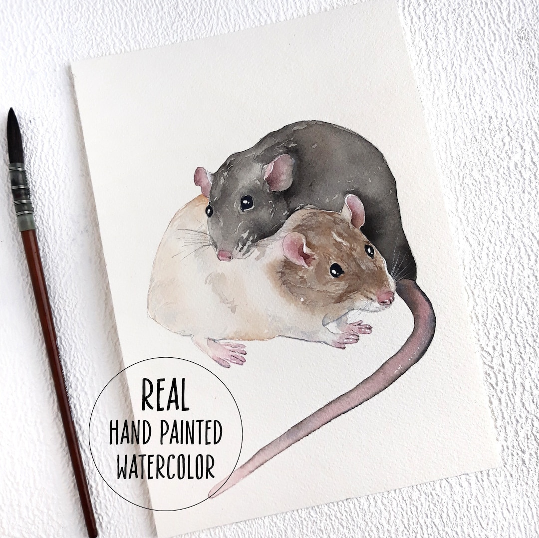 How To Draw A Real Mouse
