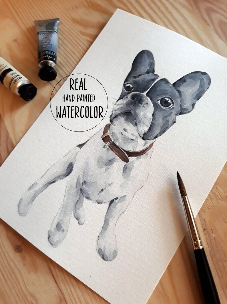 K&ouml;nnte beinhalten: Ein Aquarellbild eines Franz&ouml;sischen Bulldoggen mit schwarz-wei&szlig;em Fell, das den Betrachter ansieht. Das Bild ist auf wei&szlig;em Hintergrund und hat ein braunes Halsband. Der Text "REAL HAND PAINTED WATERCOLOR" ist in einem Kreis auf dem Bild geschrieben.
