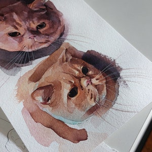 May include: Watercolour painting of two cats. The top cat is brown and white with a short, fluffy coat. The bottom cat is orange and white with a longer, fluffy coat. Both cats have their eyes open and are looking at the viewer.