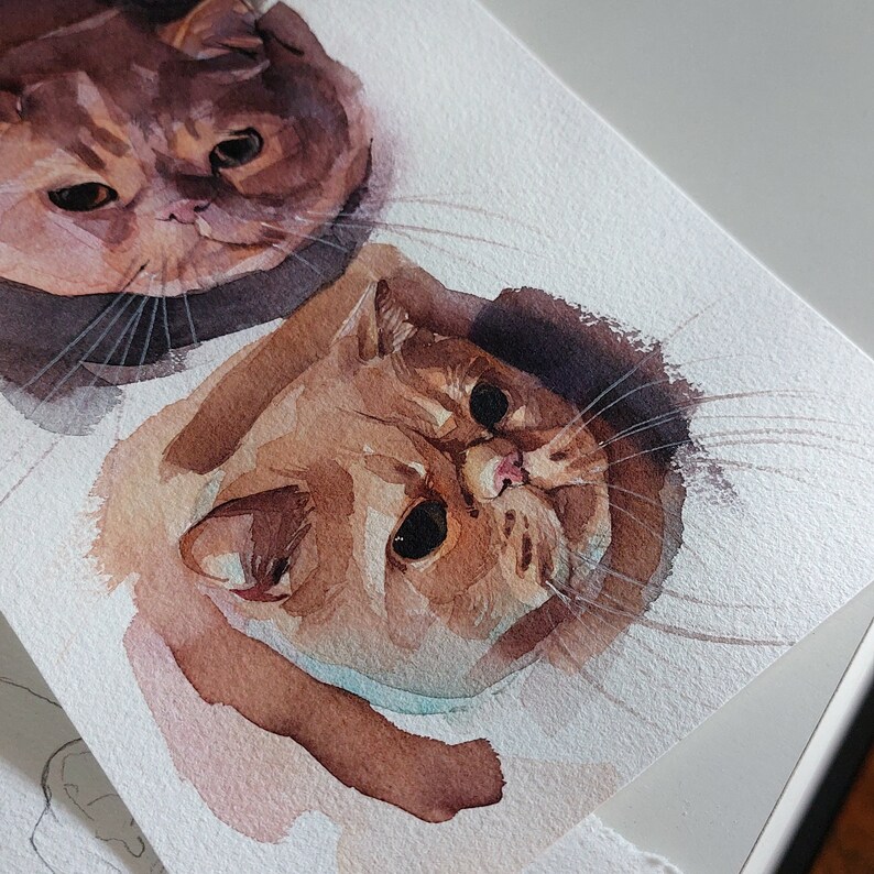 May include: Watercolour painting of two cats. The top cat is brown and white with a short, fluffy coat. The bottom cat is orange and white with a longer, fluffy coat. Both cats have their eyes open and are looking at the viewer.