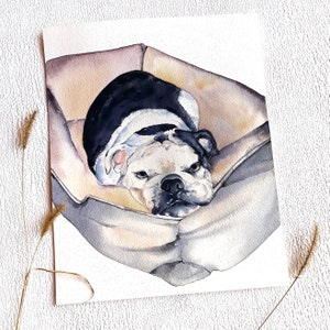 May include: Watercolour painting of a black and white bulldog lying in a brown dog bed. The dog has a serious expression and is looking directly at the viewer.