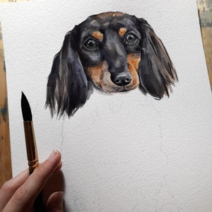 K&ouml;nnte beinhalten: Aquarellmalerei eines Dackels mit schwarzem und braunem Fell. Der Hund schaut den Betrachter direkt an, die Zunge herausgestreckt. Das Bild ist auf wei&szlig;em Hintergrund.