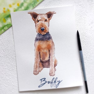 K&ouml;nnte beinhalten: Aquarellmalerei eines braunen und schwarzen Airedale Terrier Hundes, der sitzt und den Betrachter ansieht. Der Name des Hundes ist "Buffy" und steht in blauer Kursivschrift unter dem Hund.