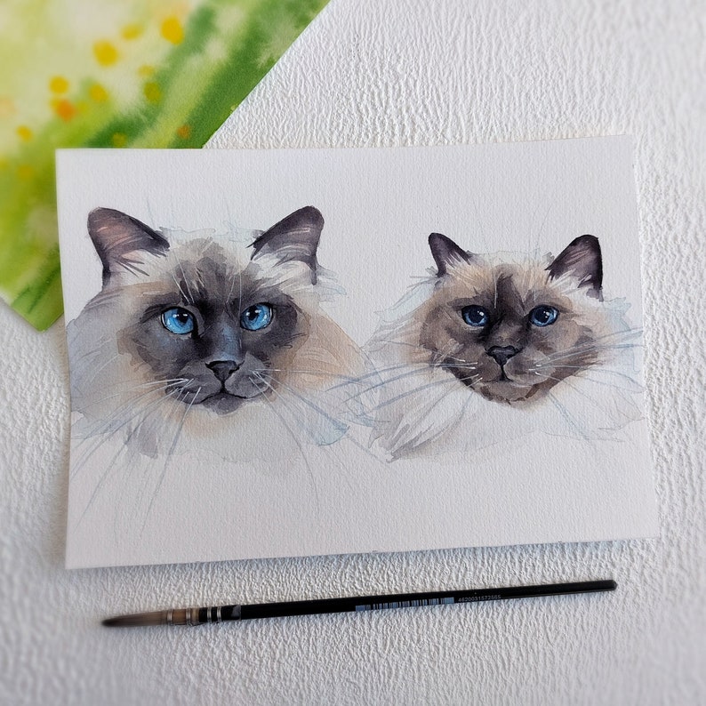 May include: Watercolour painting of two Siamese cats with blue eyes. The cats are painted in a realistic style with soft, flowing fur.