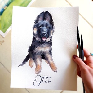 K&ouml;nnte beinhalten: Aquarellmalerei eines Deutschen Sch&auml;ferhund-Welpen namens Otto. Der Welpe sitzt mit gekreuzten Vorderpfoten und schaut direkt auf den Betrachter. Das Bild ist auf wei&szlig;em Hintergrund.